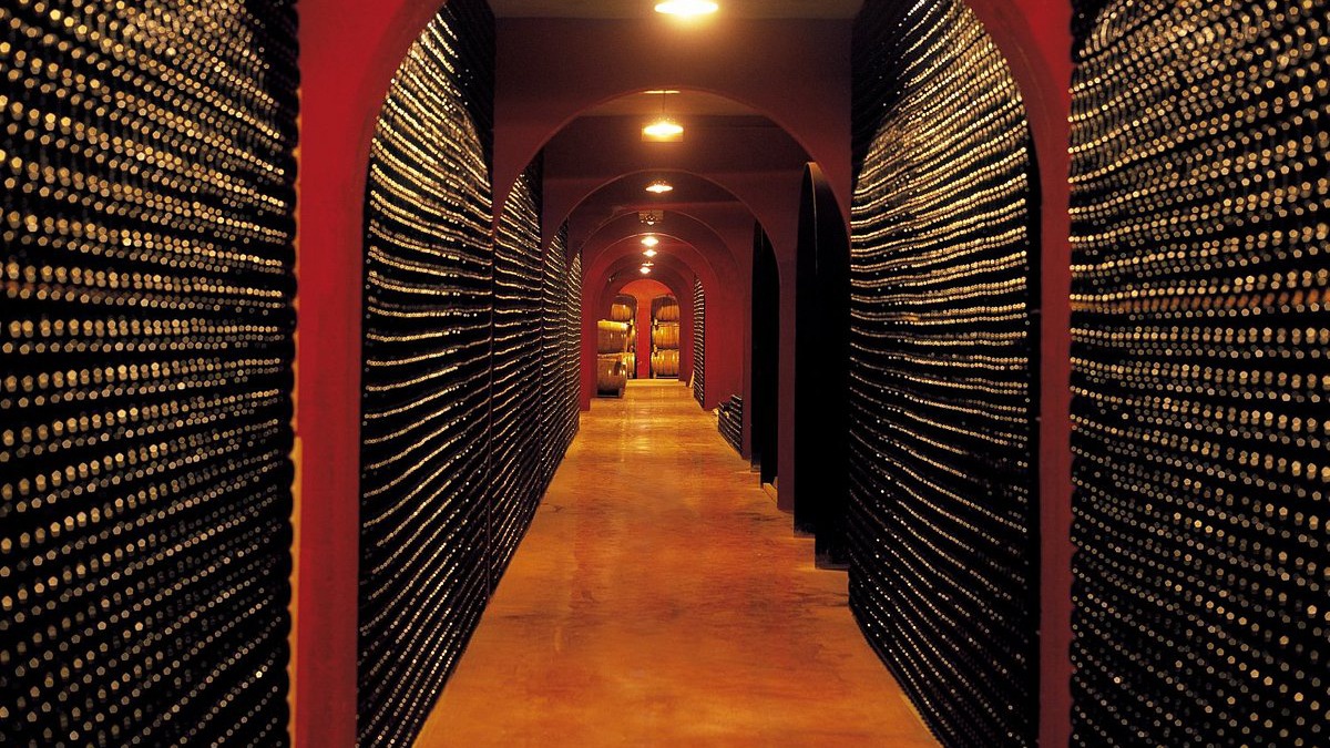 bodega macià batle web2