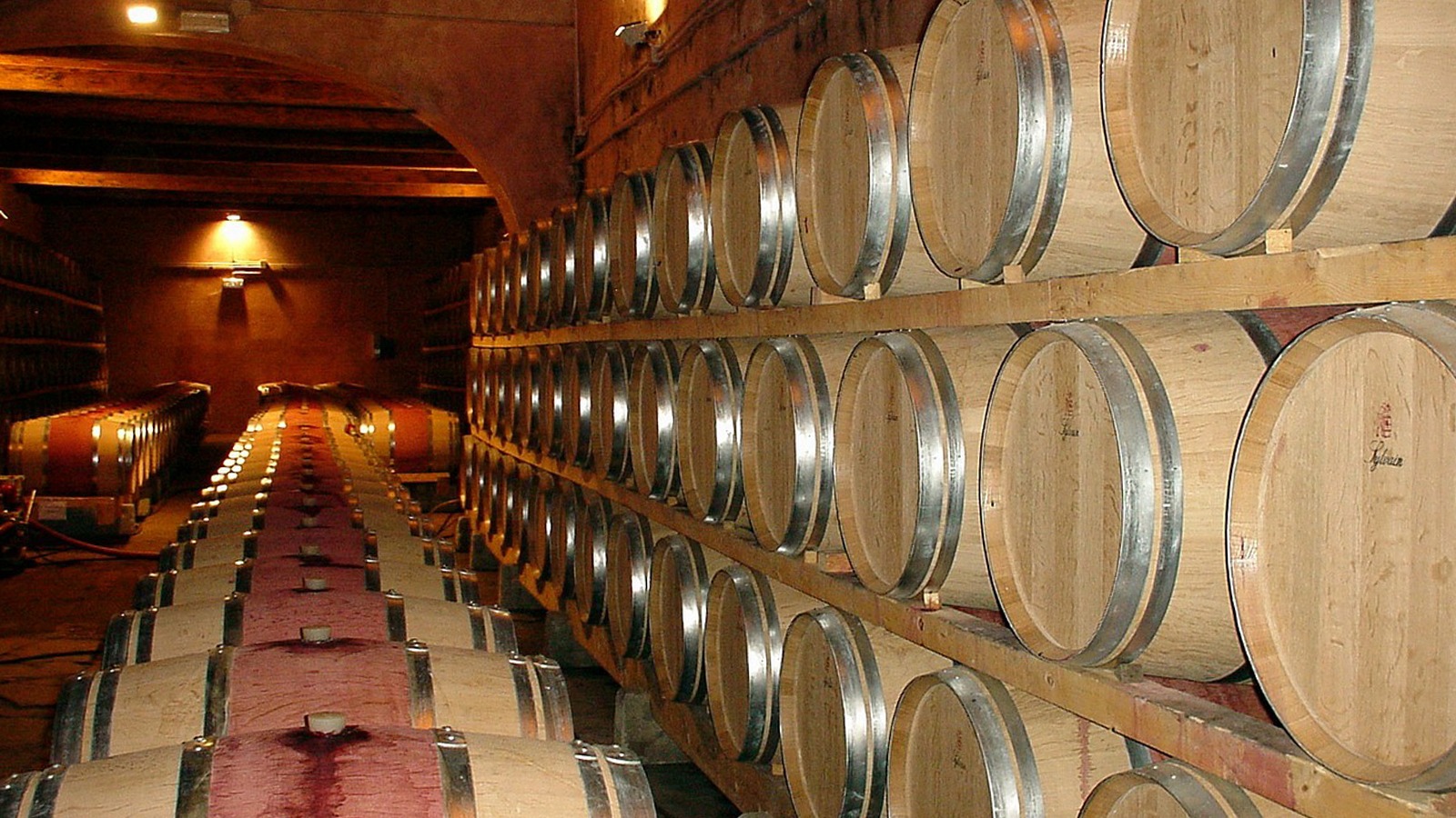 vinomovil