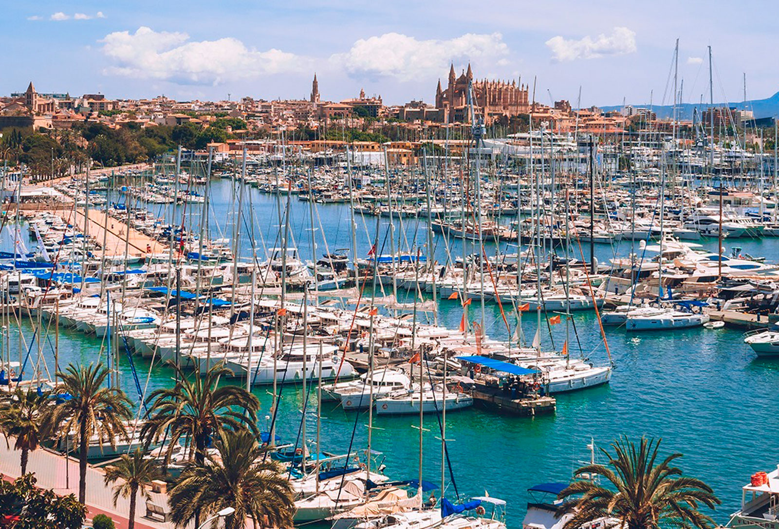 paseo-maritimo-mallorca_movil